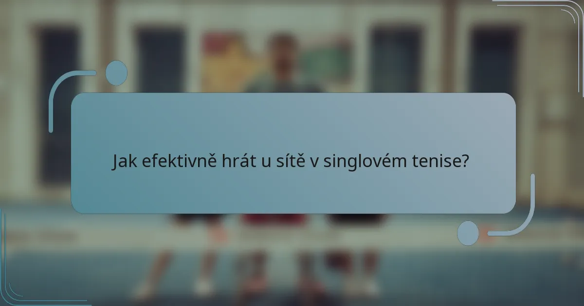 Jak efektivně hrát u sítě v singlovém tenise?