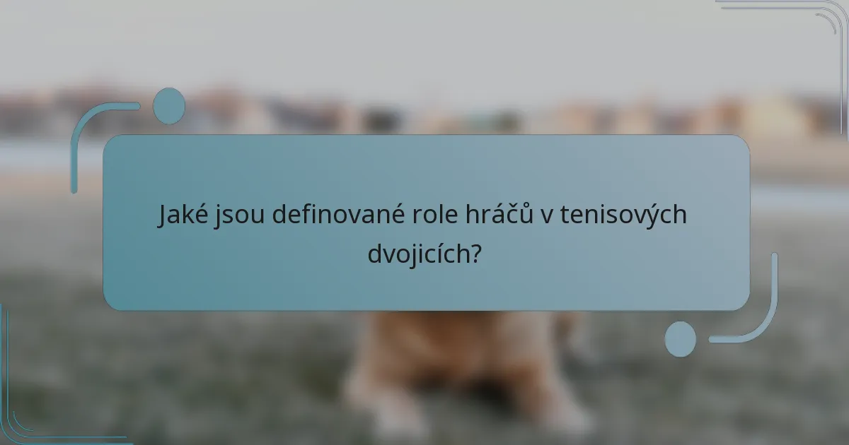 Jaké jsou definované role hráčů v tenisových dvojicích?