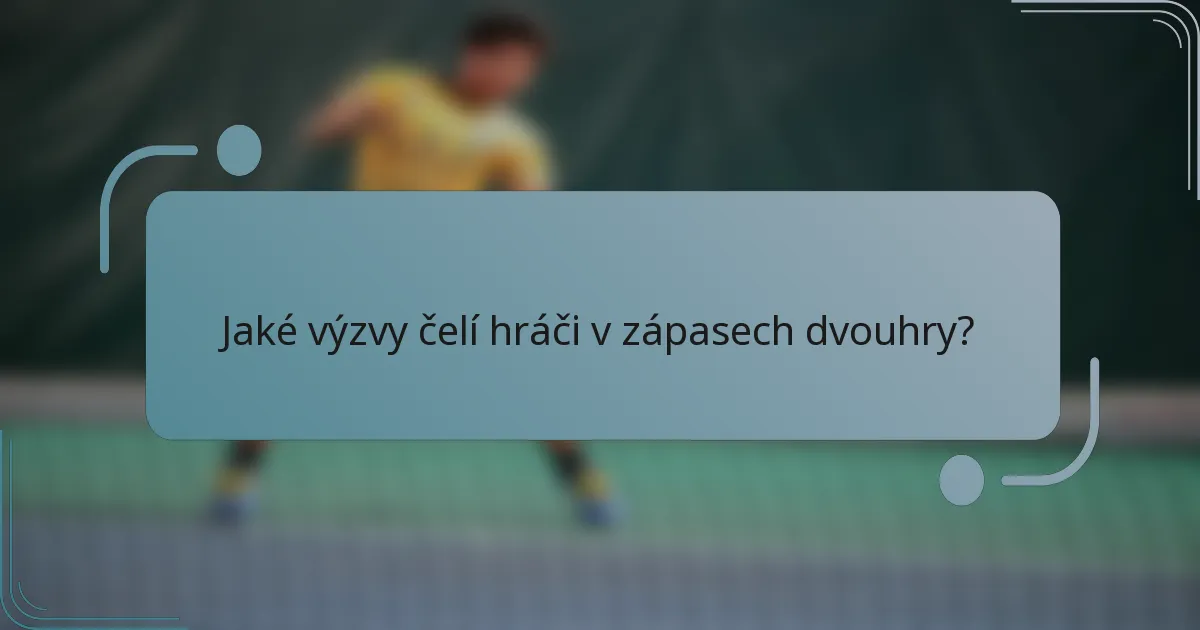Jaké výzvy čelí hráči v zápasech dvouhry?